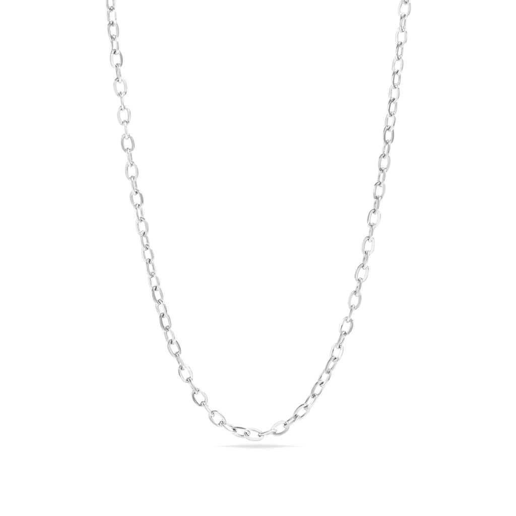 18K Gold PVD Stainless Steel PVD Coated Loop/Cable Chain Necklace / CHN3011