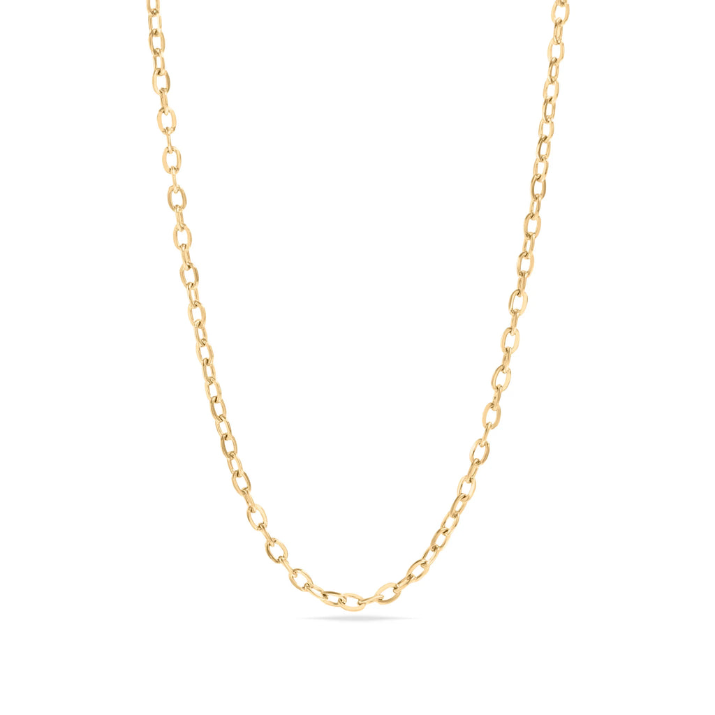 18K Gold PVD Stainless Steel PVD Coated Loop/Cable Chain Necklace / CHN3011