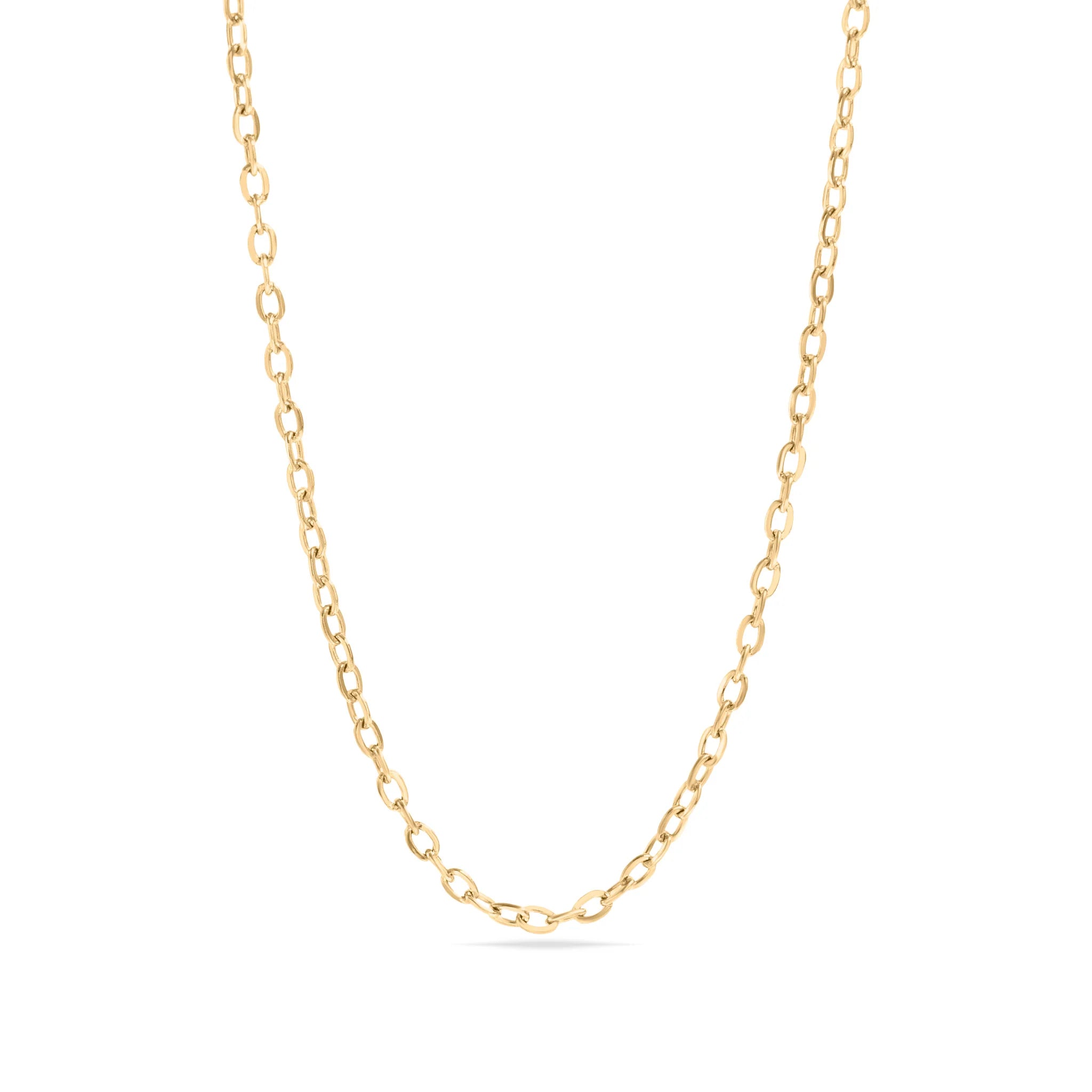 18K Gold PVD Stainless Steel PVD Coated Loop/Cable Chain Necklace / CHN3011